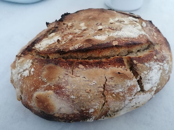 Sourdough bread flat and dense.