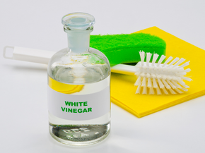 Les 10 meilleures astuces de nettoyage avec du vinaigre blanc pour une maison éclatante
