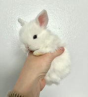Donald 3 weeks.jpeg