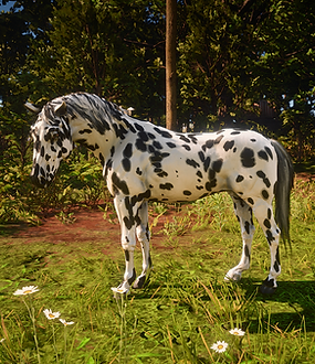 RedM_GTAProcess_2026-06-15_15-37-34_960.png