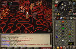 Kuru San Fire cape complete