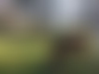 Ça pousse dans les tunnels...