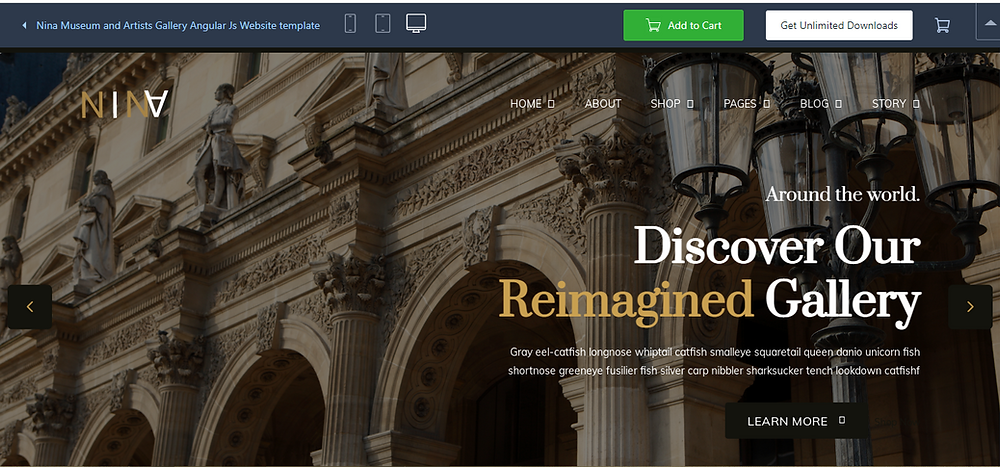 museum websites