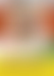 Raccolta di San Martino 2025