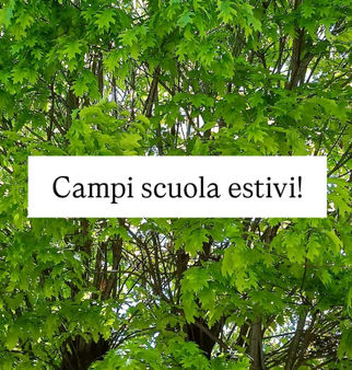 CAMPISCUOLA ESTIVI