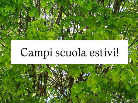 CAMPISCUOLA ESTIVI