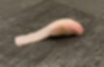 Kanpachi