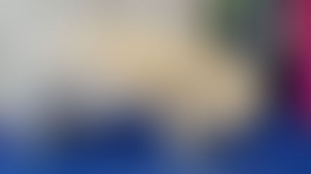 Dogs before and after grooms this week