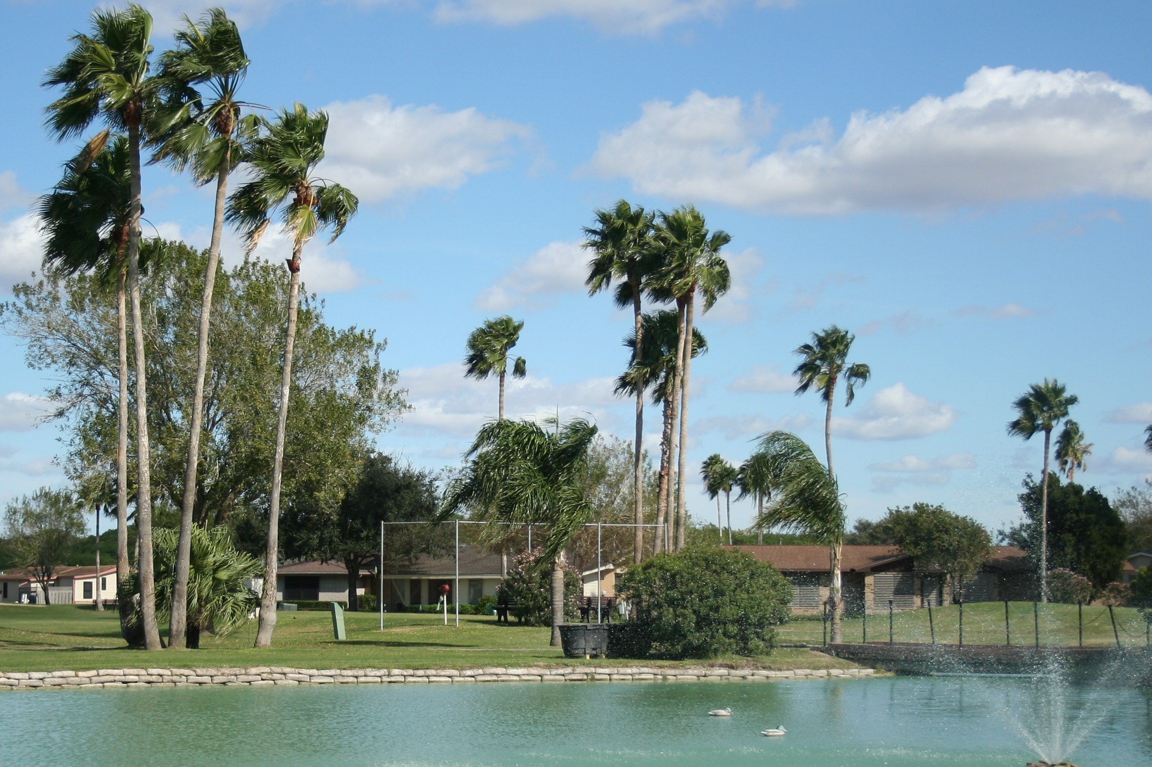 Gallery Active and Independent Living