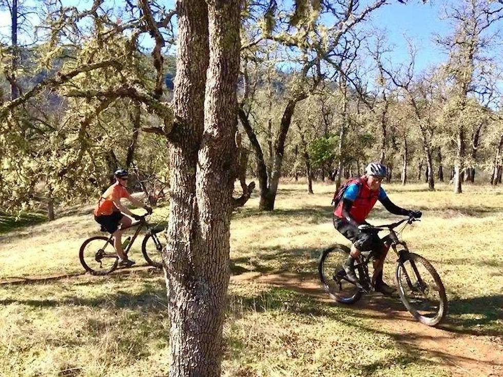 A group of mountain bikers riding through oak woodlands at Six Sigma Ranch in Lower Lake during a guided trail ride near The Fainting Couch.