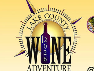 A flight of red wine glasses on a rustic wood table overlooking a Lake County vineyard during the Wine Adventure near The Fainting Couch.