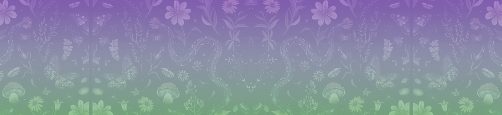 Header Graphic _top_update.png