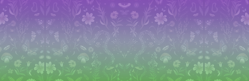 Header Graphic _top_update.png