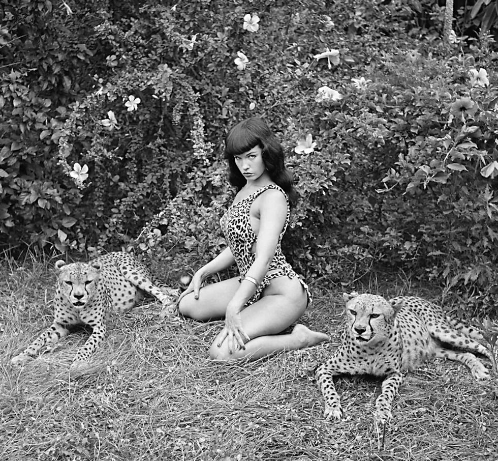 Defining Pop Culture: Bettie Page's Rise to Icon Status
