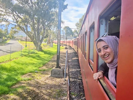 A woman exploring South Africa in a train