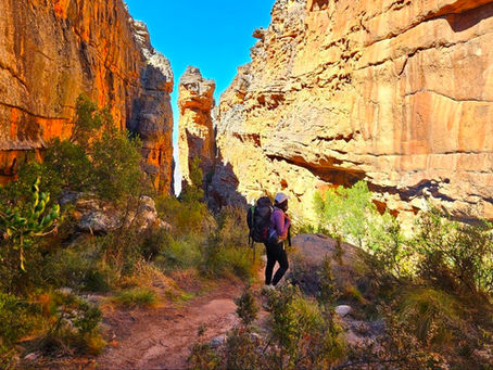 All the hiking essentials you need