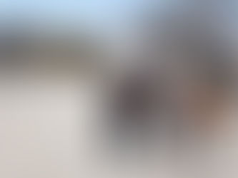 Vereinsleben erleben: Unsere Events im Reitverein Mannheim-Sandhofen