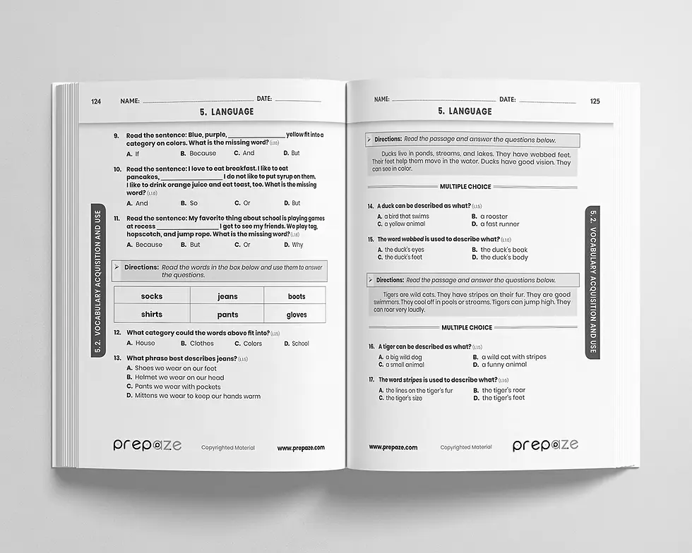 Thumbnail: 1st Grade ELA Workbook