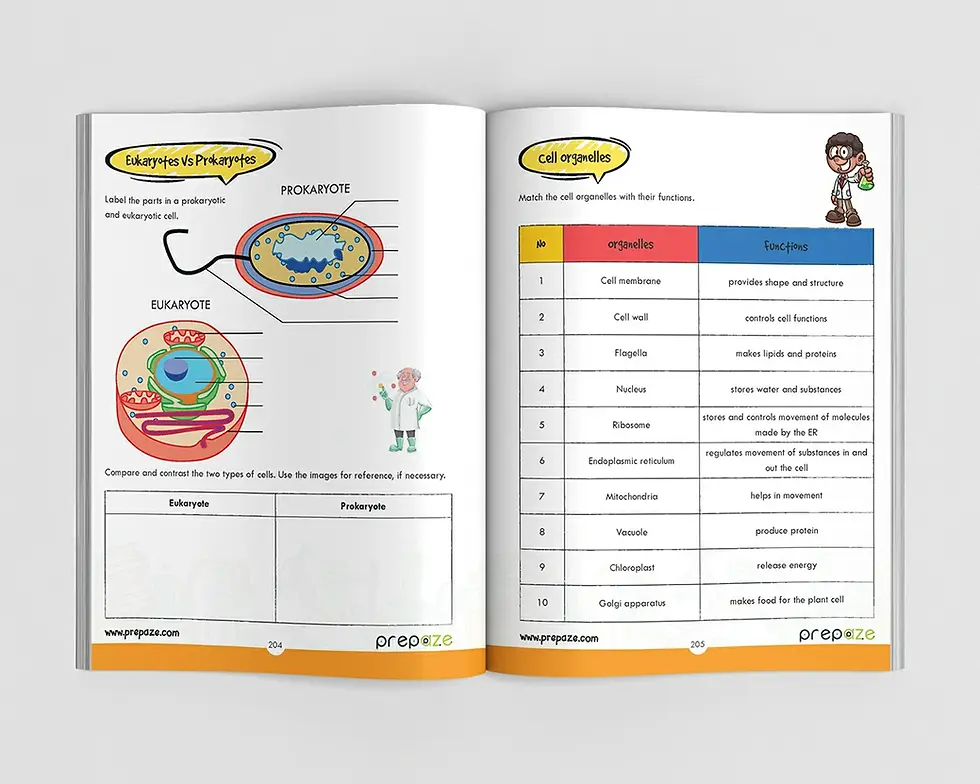 Thumbnail: Grade 7 - The One Big Book