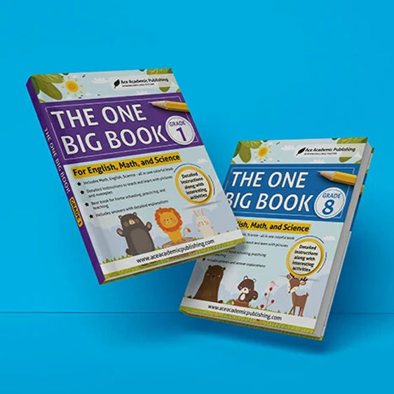 File One Book A Complete Guide to All-In-One Books: One Resource for Total Grade ...