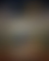 FVMA Cricket Tournament 2025: A Day of Sportsmanship and Unity