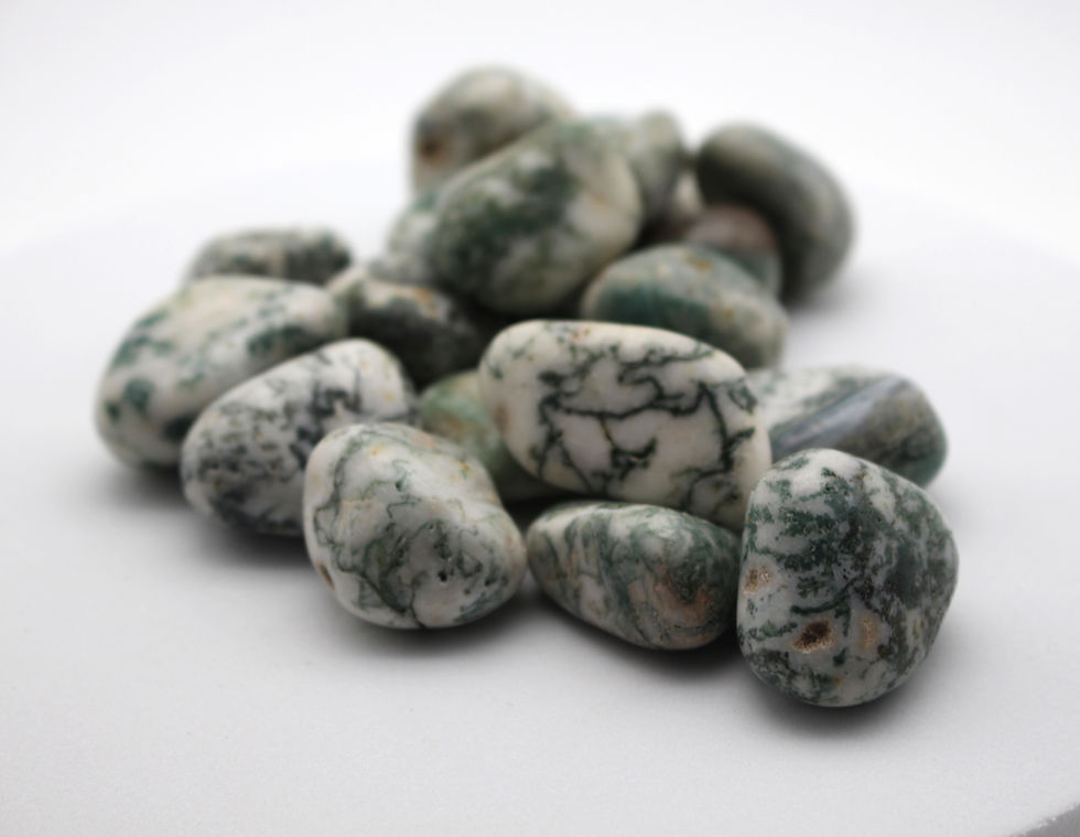 Thumbnail: Tree Agate Tumble