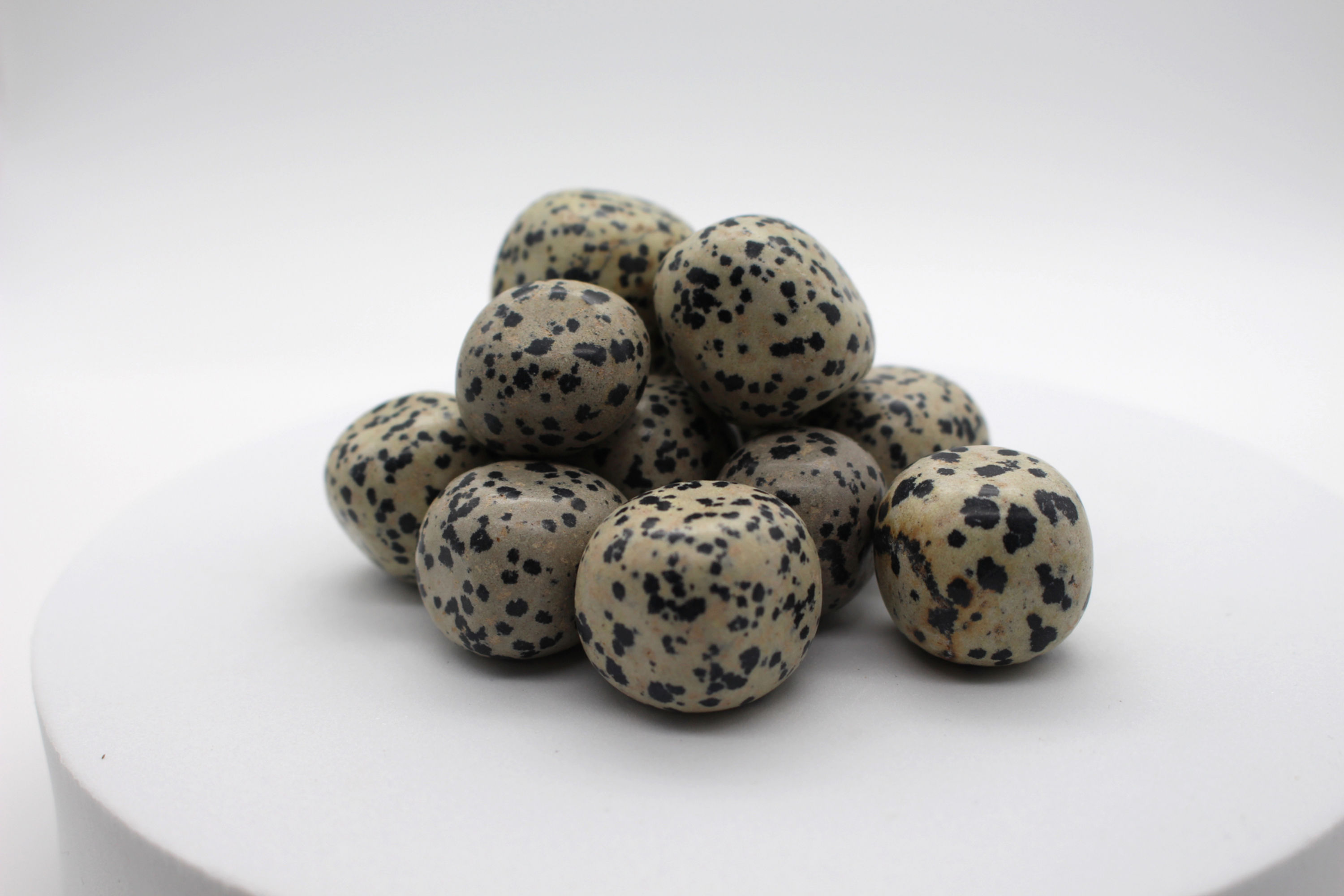 Dalmatian Jasper Tumble