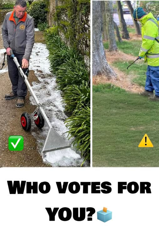 Who Votes for YOU ?