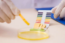 Urine AM PH test.jpg