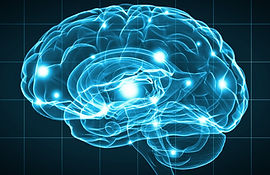 Brain.jpg