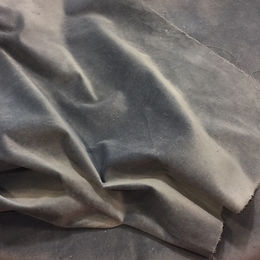 Blue Corn Velveteen
