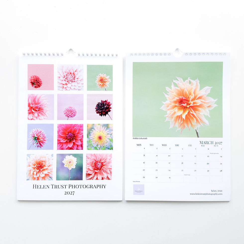 Thumbnail: 2027 Dahlia A4 Wall Calendar