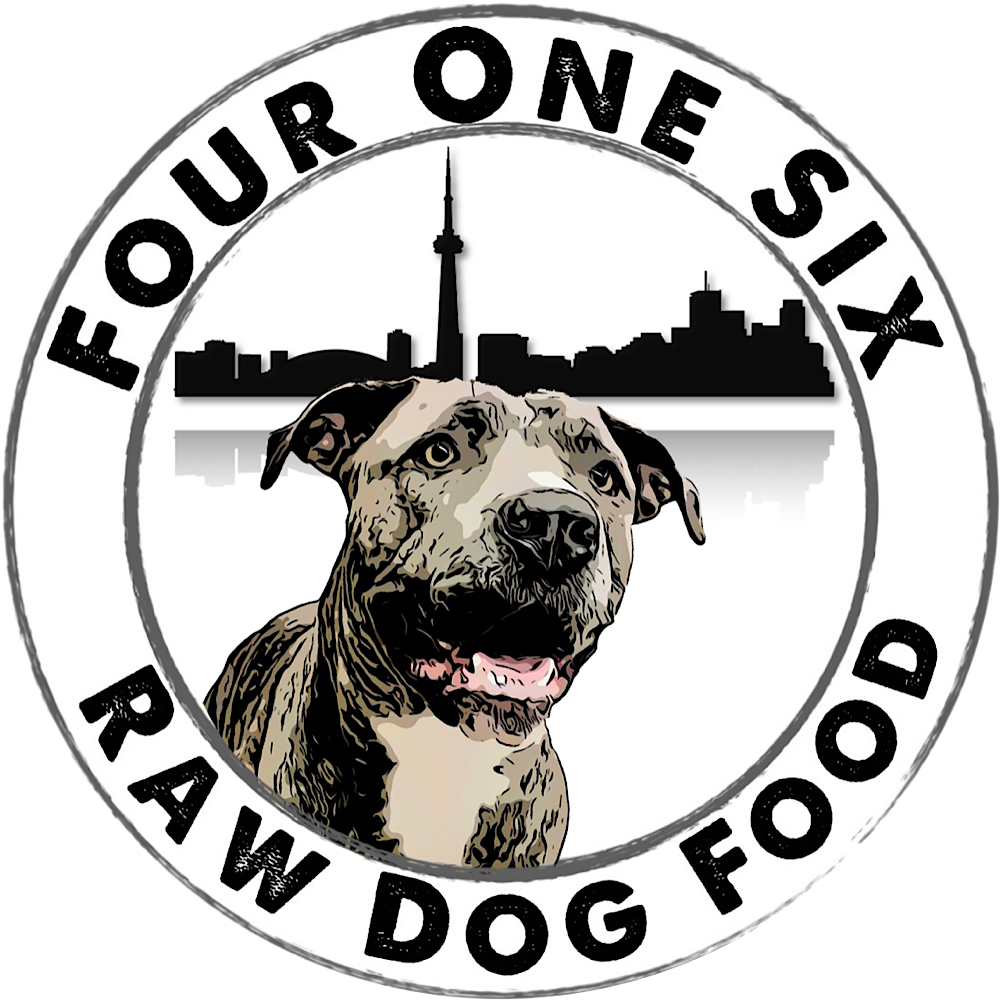 Home FOUR ONE SIX RAW DOG FOOD