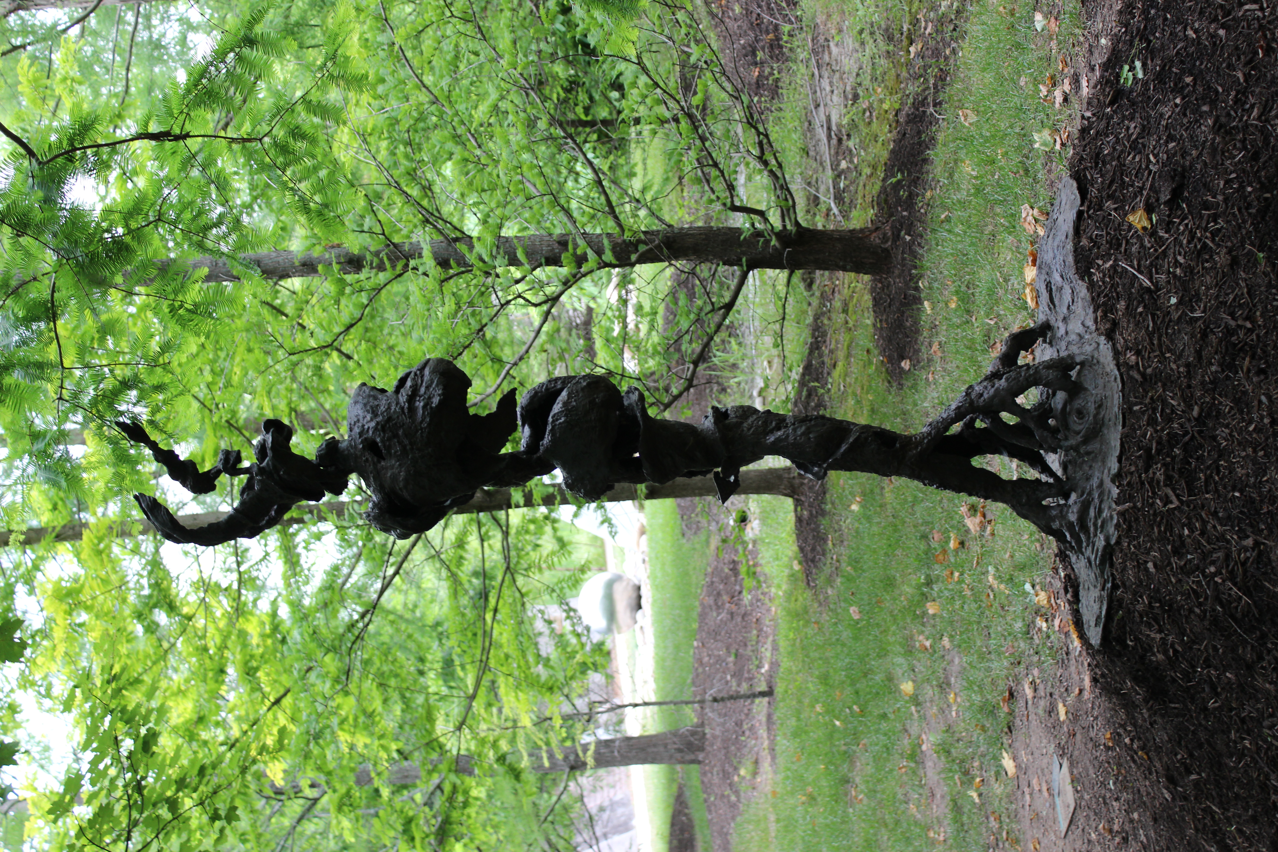 Smoking Root by Jonathon Hertzel