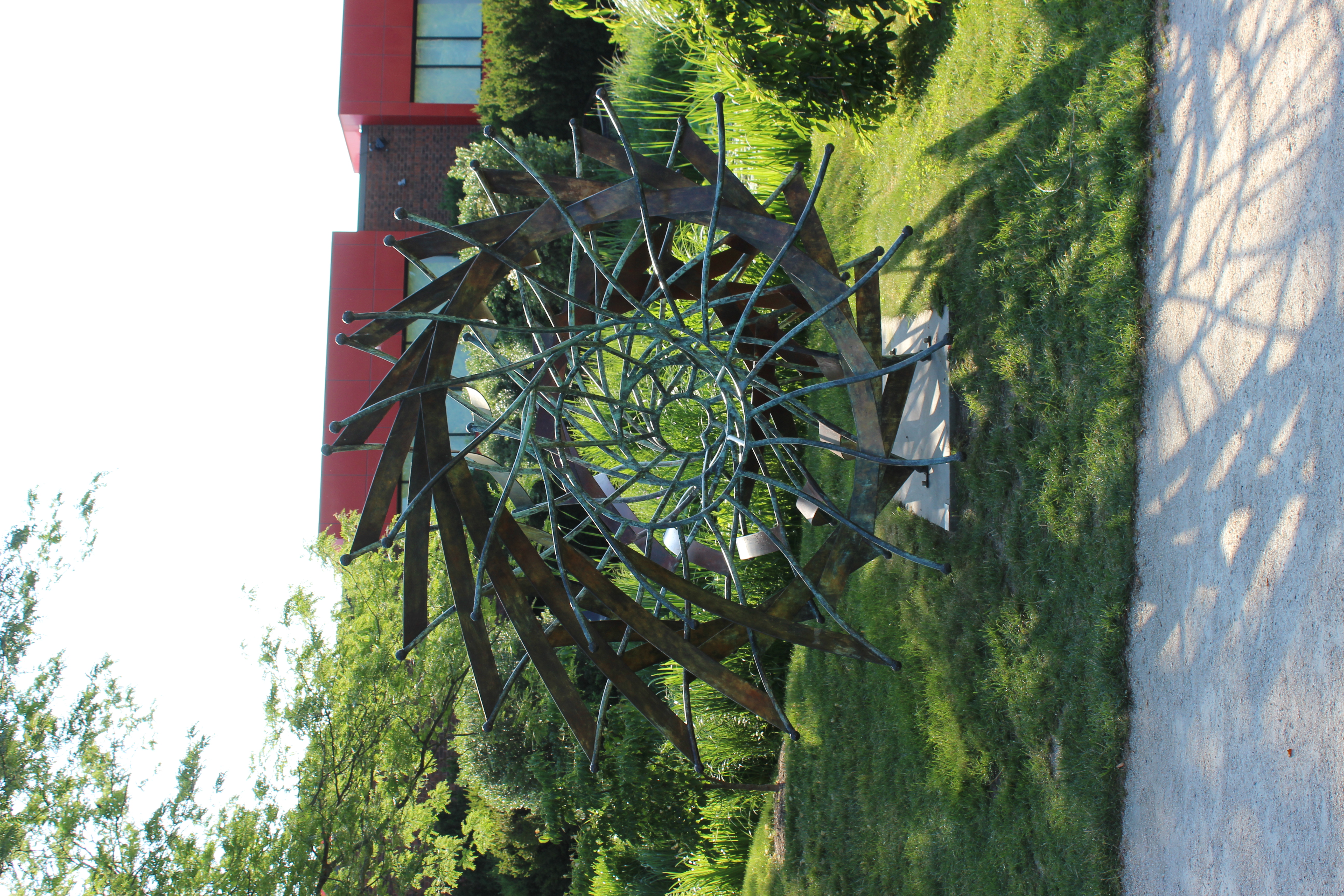 Urchin by Howard Kalish