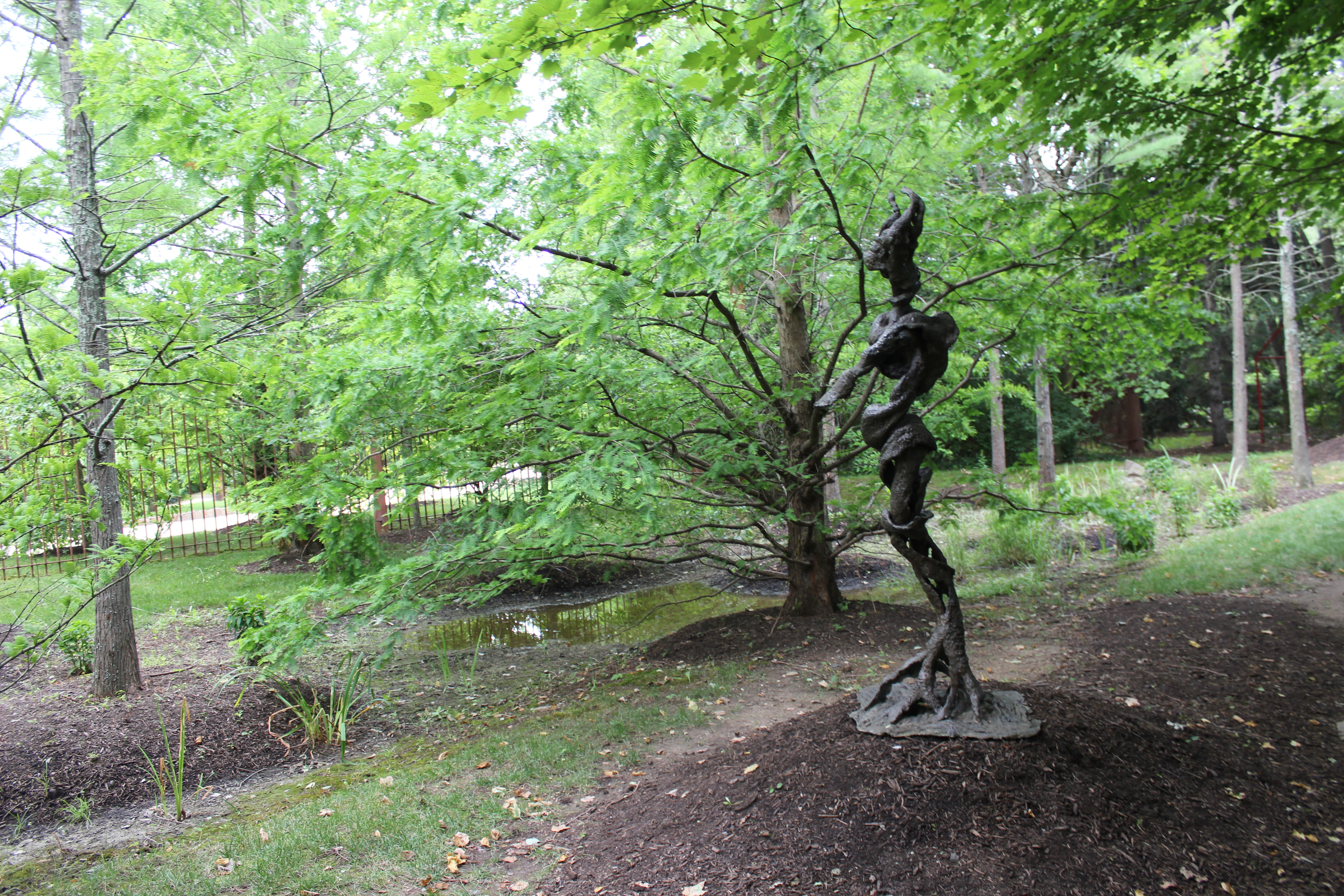 Smoking Root by Jonathon Hertzel