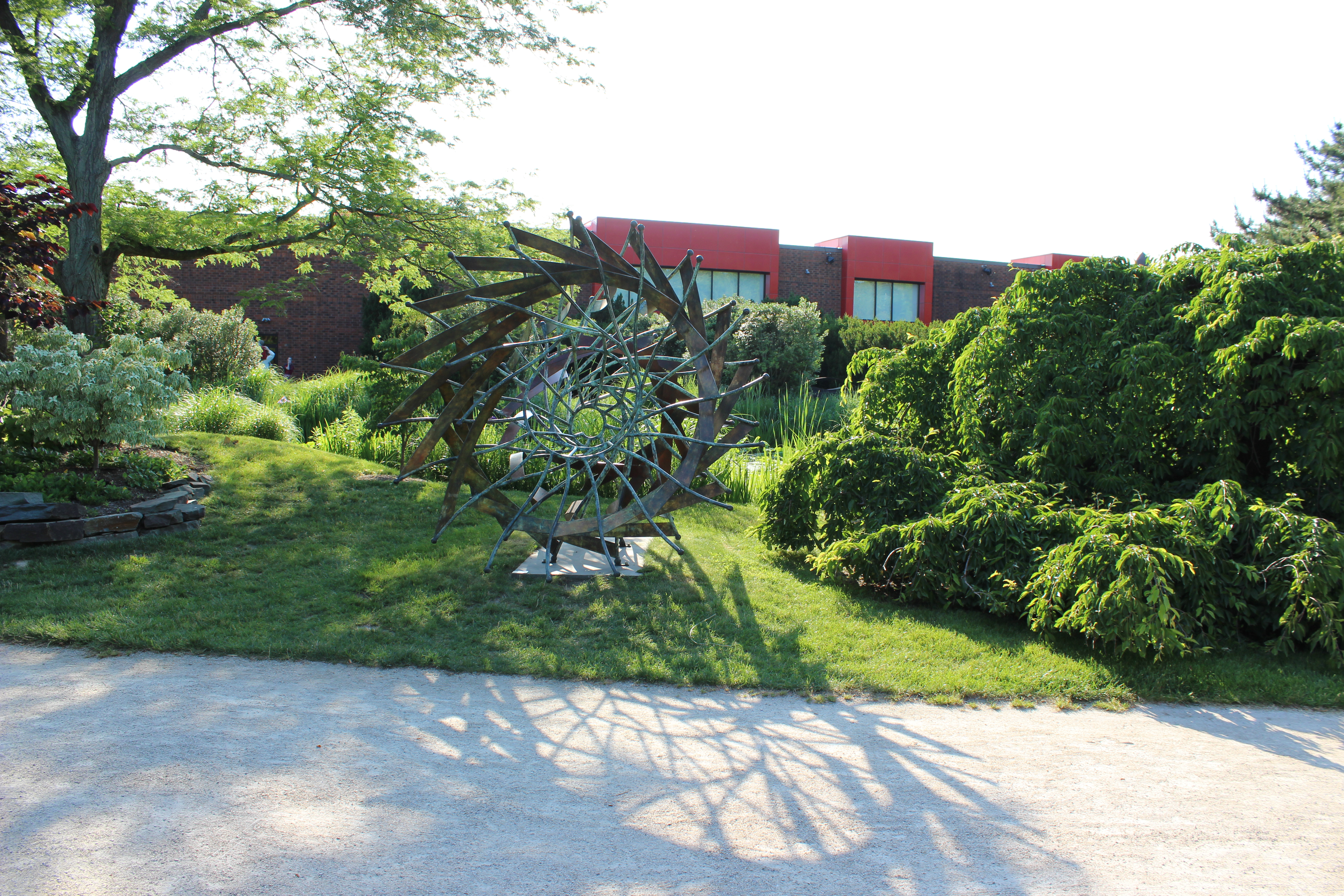 Urchin by Howard Kalish