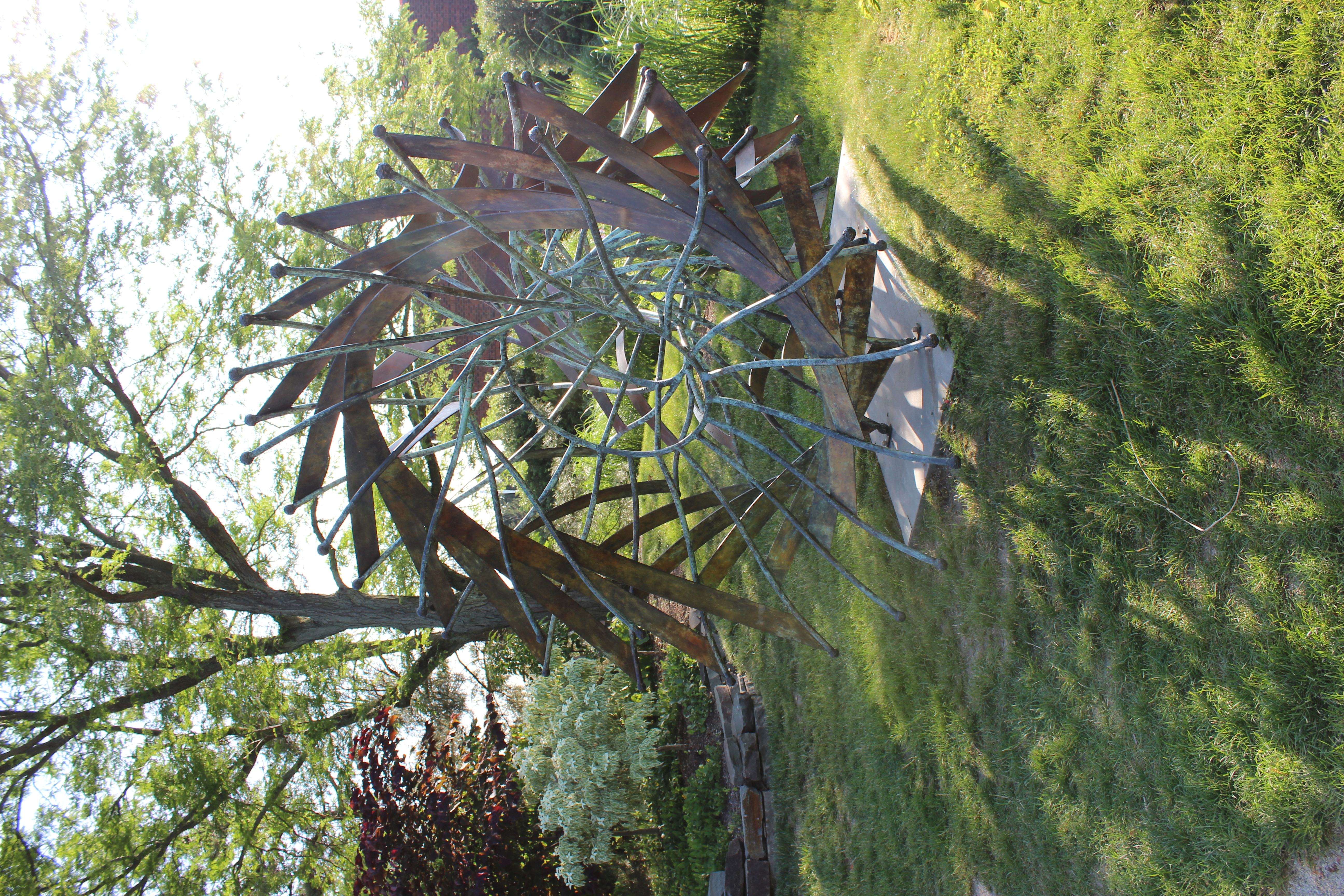 Urchin by Howard Kalish
