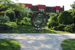 Urchin by Howard Kalish