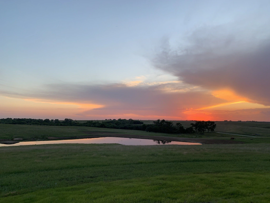 CC Pond.webp