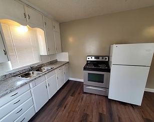 Martin Triplex - 1005 Main Floor