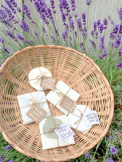 A91BC0FA-6A41-4B66-B260-0D1C8E08670C.jpe