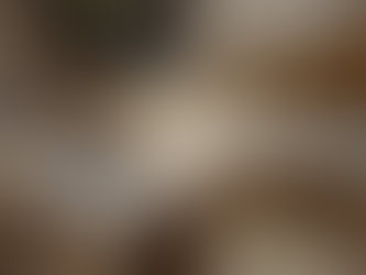 The Heart of the Home: Why the Kitchen is More Important Than Ever