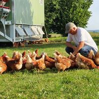 Hühnerliebe