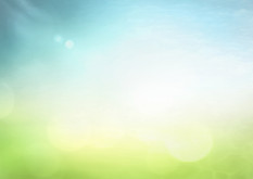 AdobeStock_288623783 copy.jpeg