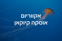 אקווריום אוסקה קיוקאן