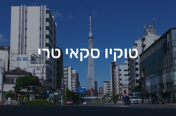 טוקיו סקאי טרי