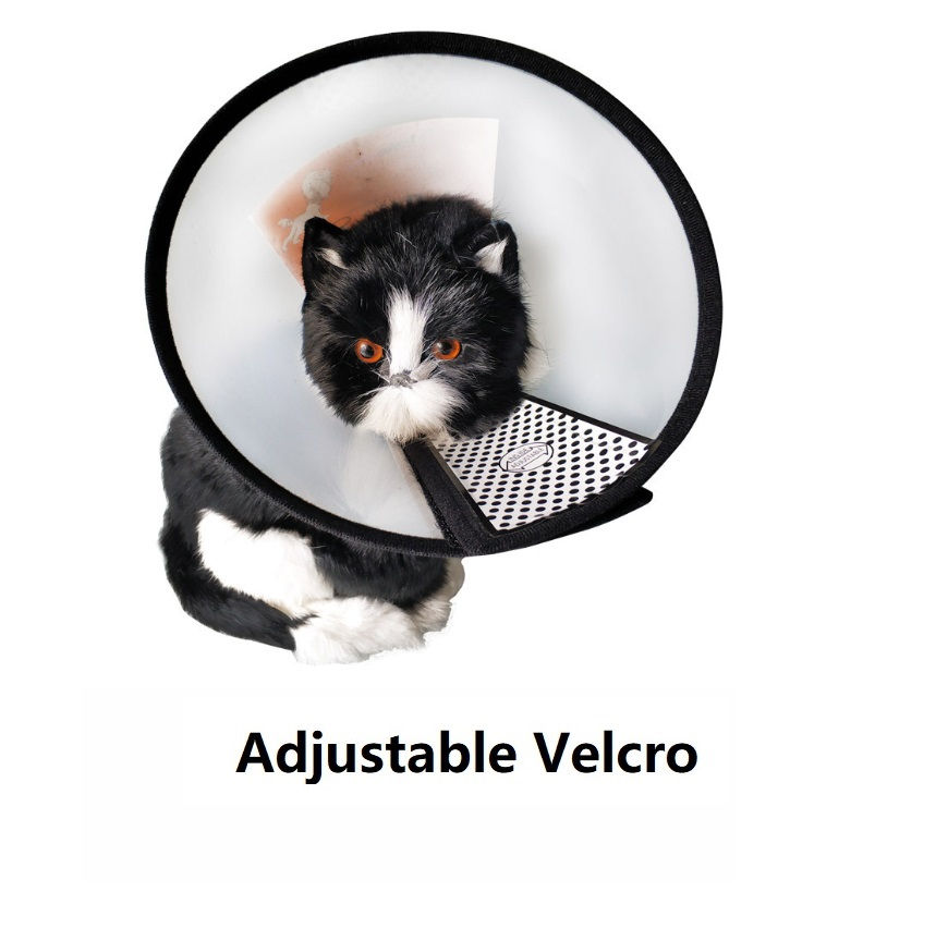 Thumbnail: Adjustable Cone Elizabeth Collar