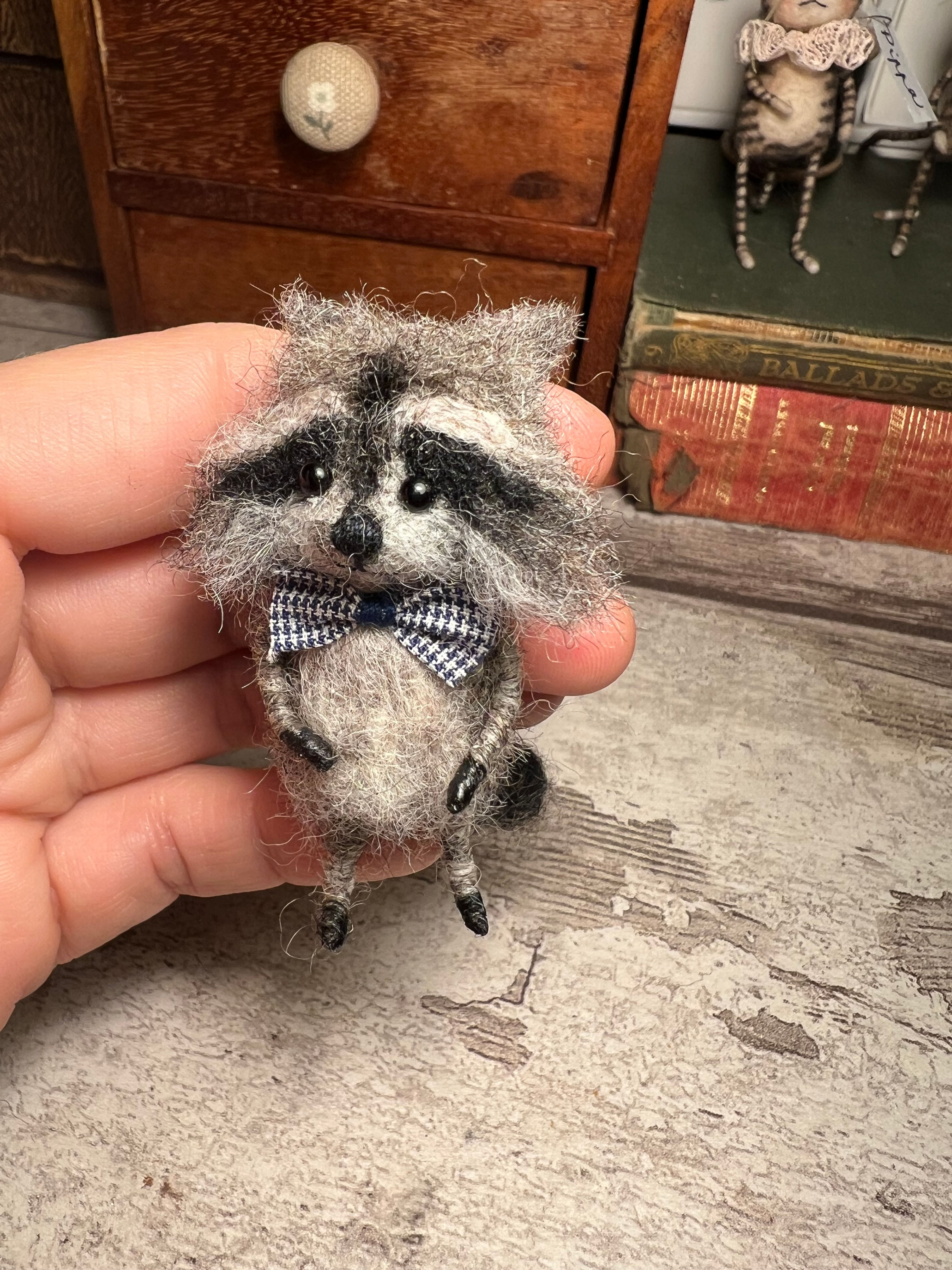 Rico, the Racoon
