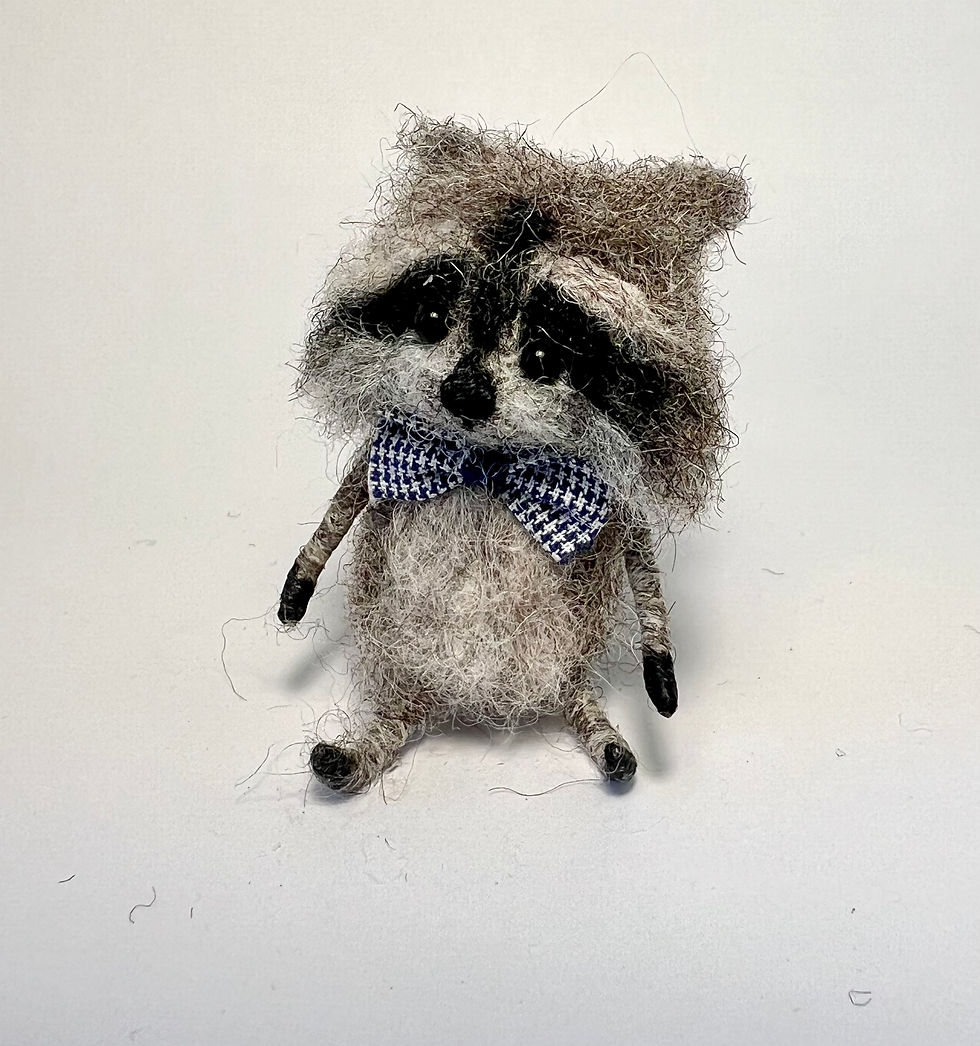 Thumbnail: Rico, the Racoon